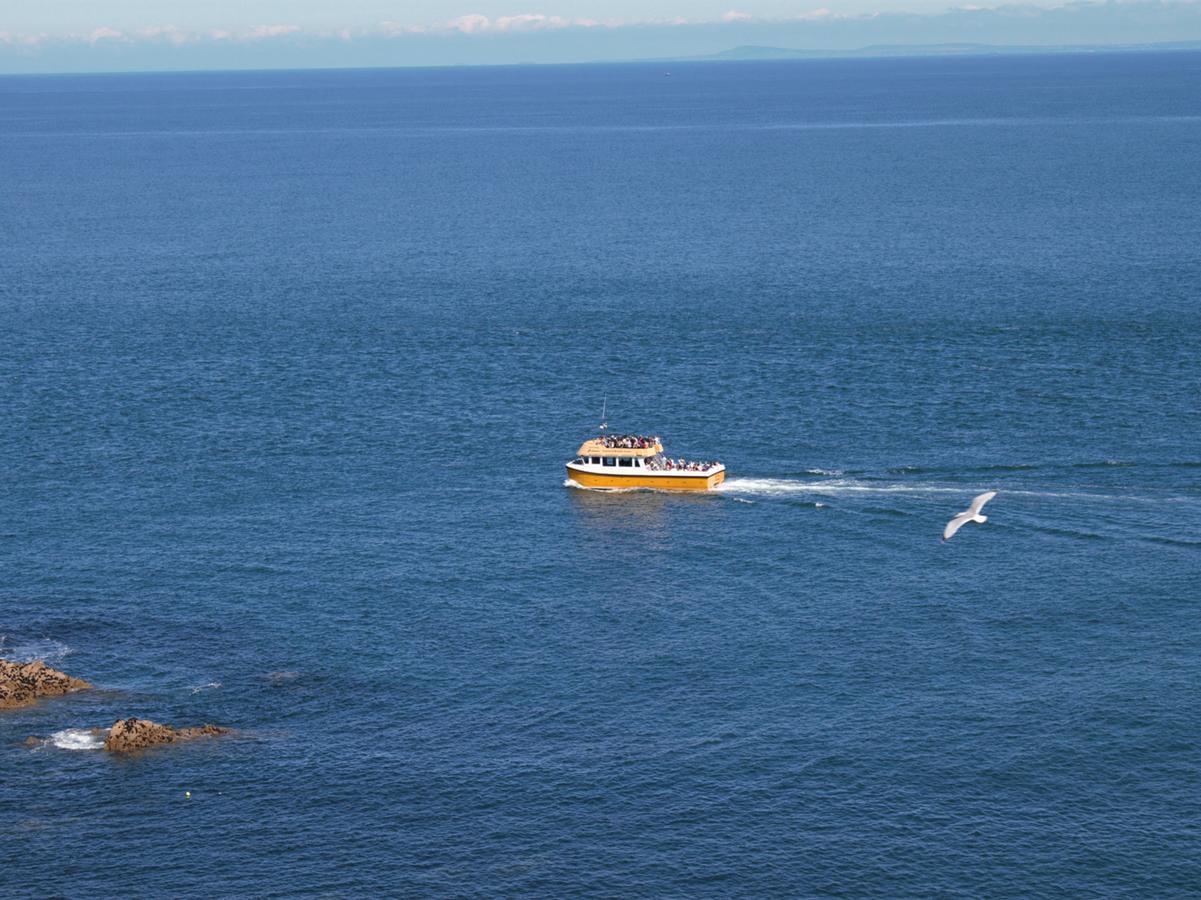 Ocean Breeze Villa Ilfracombe Bagian luar foto